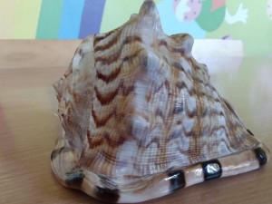 IMG_20210512_114703242